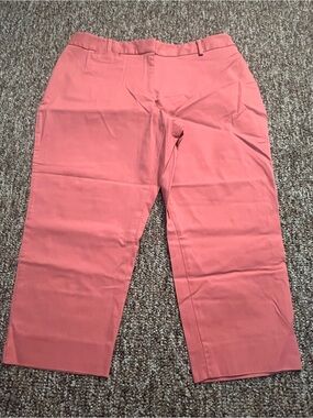 Talbots Women’s Pink Cropped Business Causal Stretchy Salmon Pink Pants 16WP